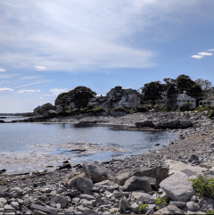 Screen Shot 2019-08-31 at 8.03.59 PM.png